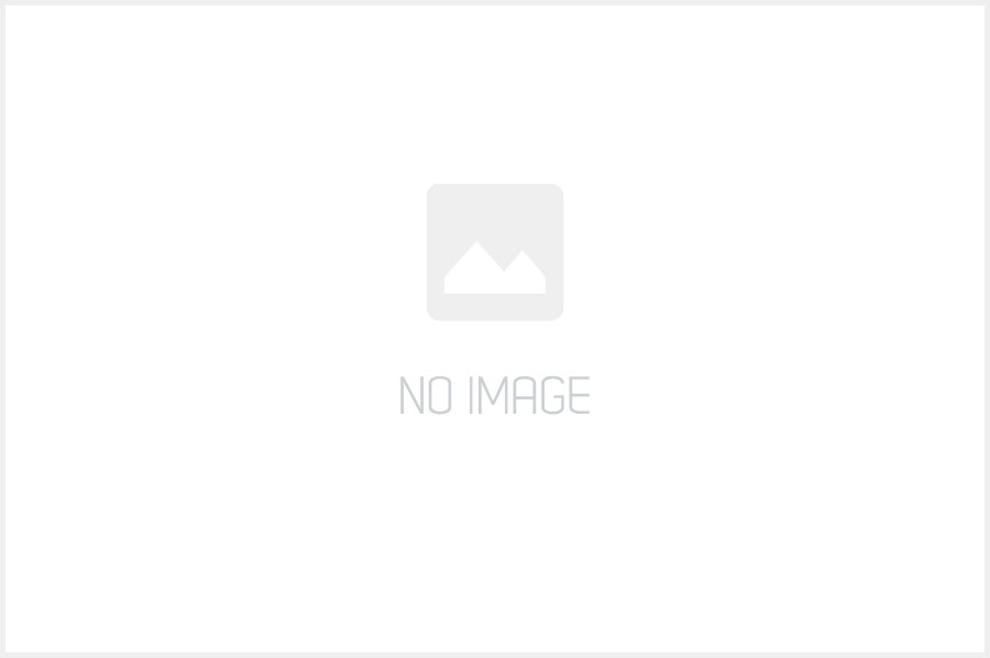 DECORACIÓN DE BODAS – JAULAS Y LUCES y PIZARRAS