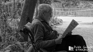 Lectura en el parque