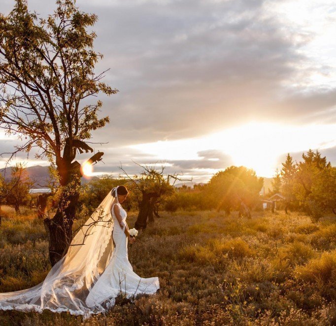 Boda en La Rioja (Parte I)