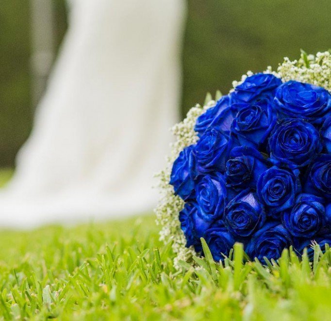 Cómo teñir un ramo de rosas en color azul – Adornos florales de novias originales – Hazlo tú mismo – DIY