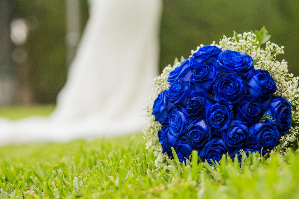 superficial Ingenioso valor Cómo teñir un ramo de rosas en color azul - Adornos florales de novias  originales - Hazlo tú mismo - DIY